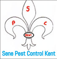 Sene Pest Control - Kent
