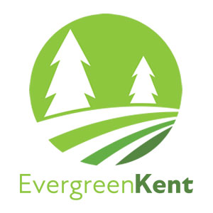 Evergreen Kent