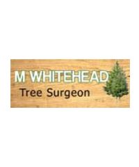 M Whitehead Tree Surgeon