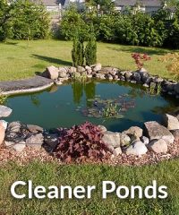 Cleaner Ponds