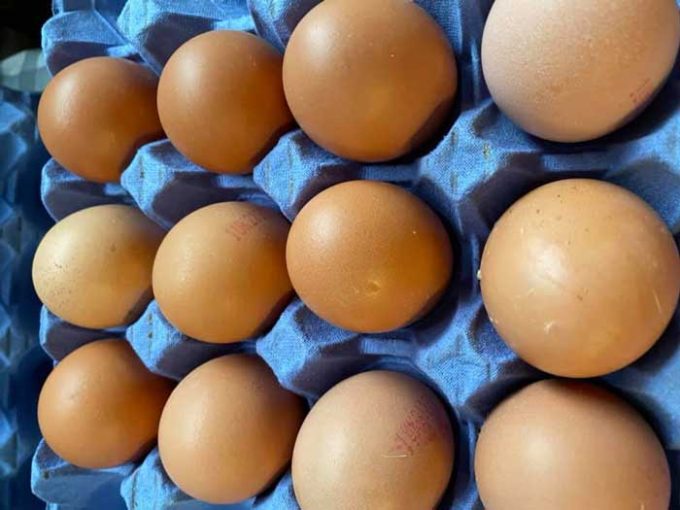 Mockbeggar Farm Shop