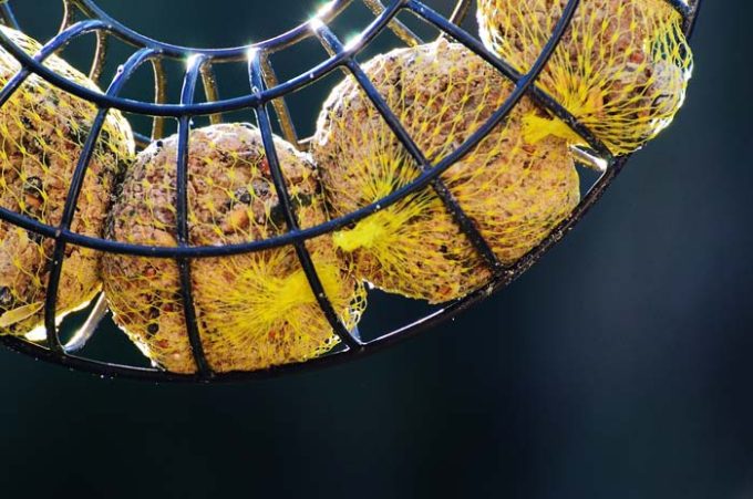 Stimulite Bird Foods