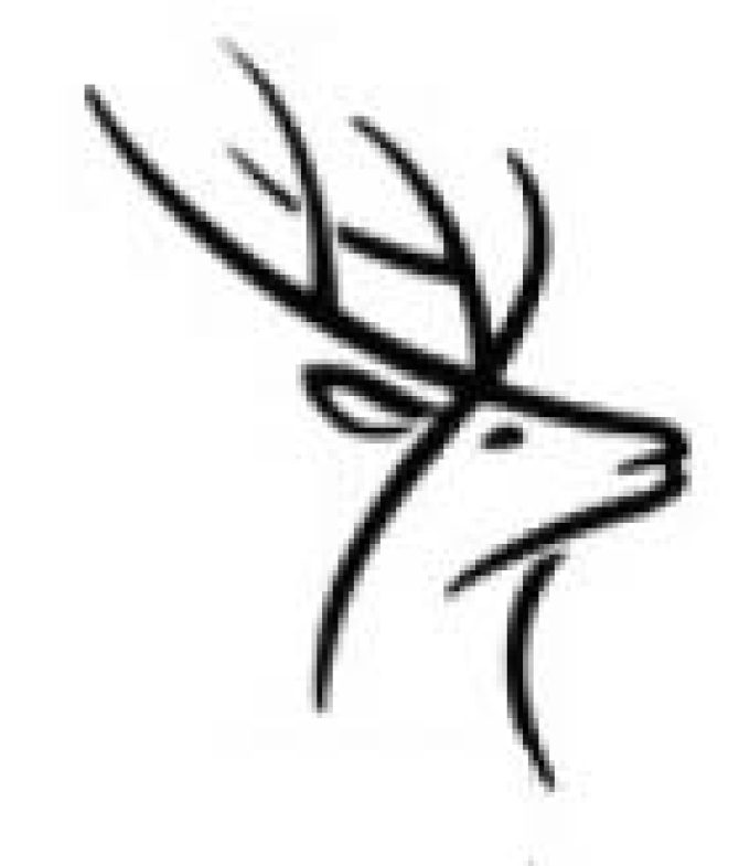 Kent & Sussex Clay Pigeon Shooting School