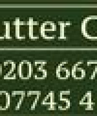 Bloor Gutter Cleaning