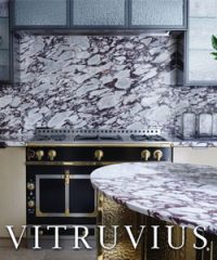 Vitruvius Ltd