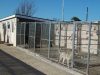Manston Boarding Kennels & Cattery