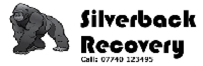 Silverback Recovery