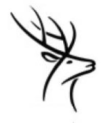 Kent & Sussex Clay Pigeon Shooting School