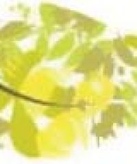 Abraham House And Garden