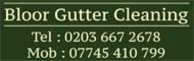 Bloor Gutter Cleaning