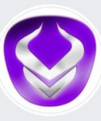 Viking Motorcycle Seats