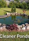 Cleaner Ponds