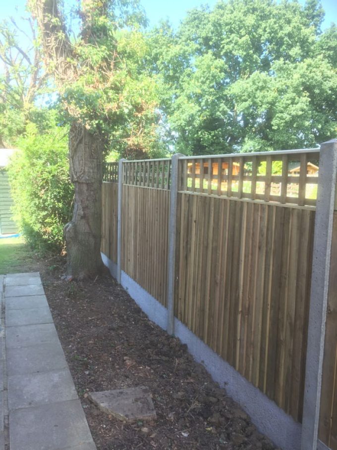 D Parr Tree Surgeons