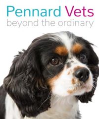 Pennard Vets