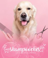 Shampooches