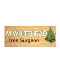M Whitehead Tree Surgeon